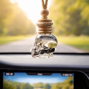 Skull Car Diffuser